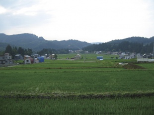 沖田全景