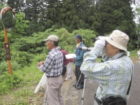 野鳥観察